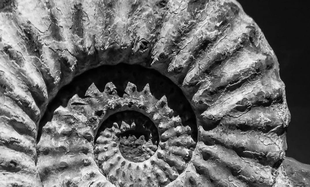Should Britain Return Its Stolen Artefacts?