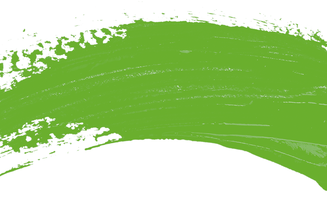 Manifesto Breakdown: The Green Party