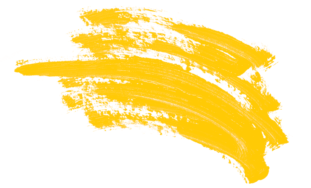 Manifesto Breakdown: Liberal Democrats