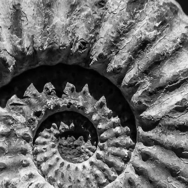 Image of: Should Britain Return Its Stolen Artefacts?