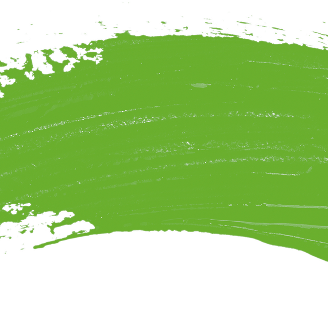 Image of: Manifesto Breakdown: The Green Party